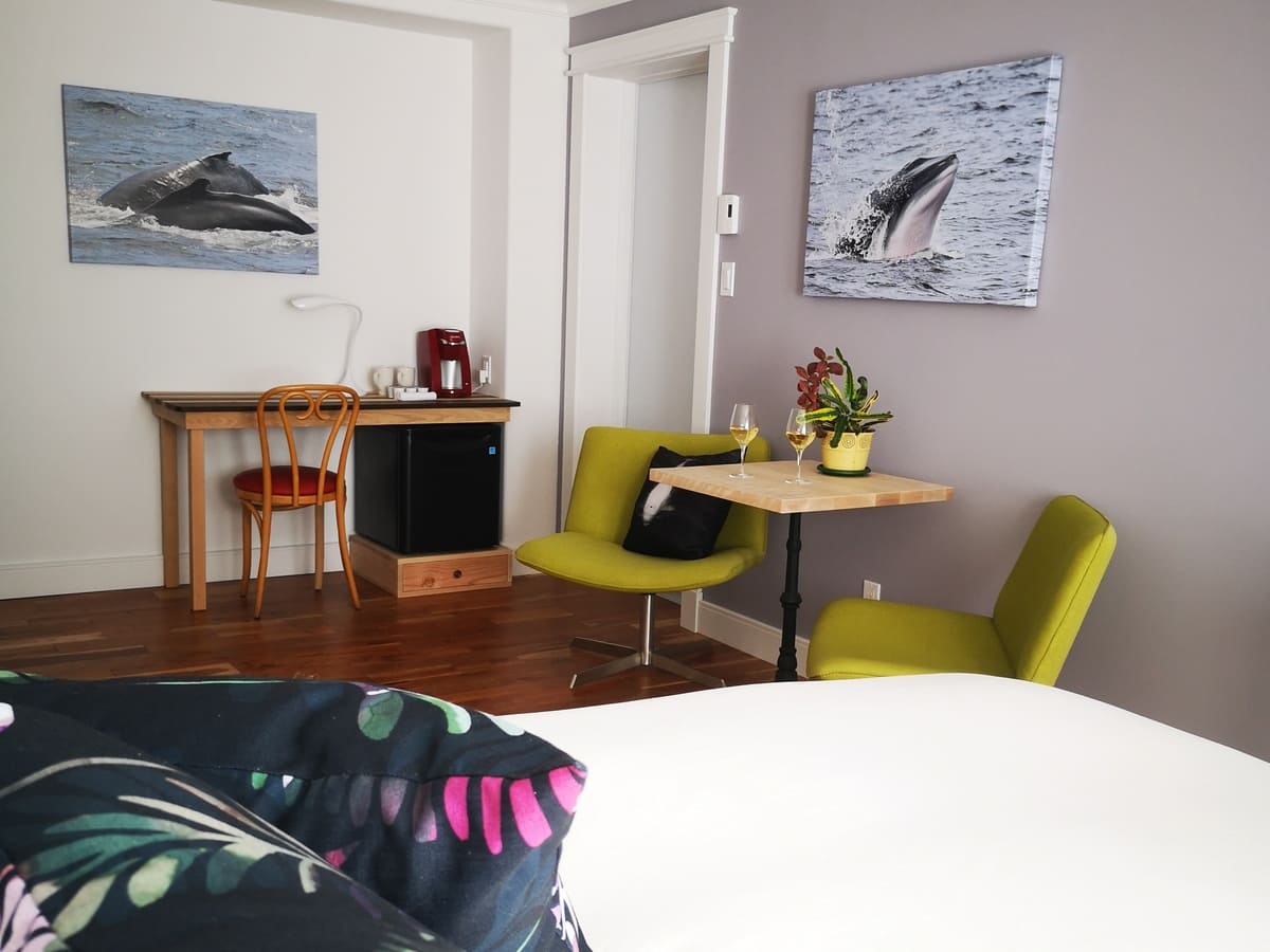 Chambre Beluga – photo 2