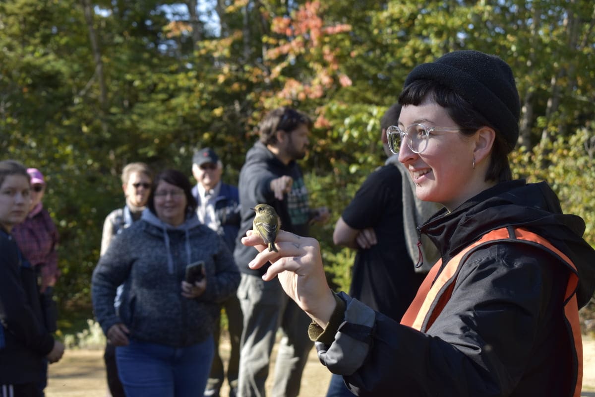 Festival des Oiseaux Migrateurs